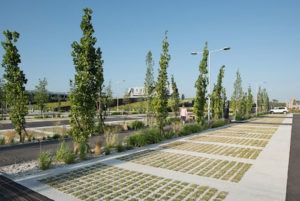 Parking de stationnement végétal